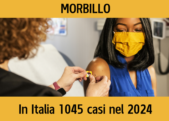 morbillo casi nel 2024.png